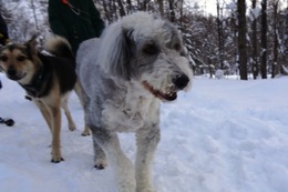 ひ　パンダ　１・１９→２・８