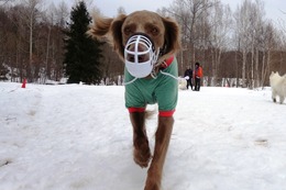 ま　アラン　３・３１→４・７