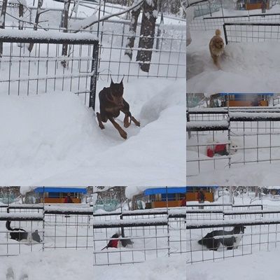 合体スラロム２