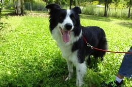 え　ゆうが　新４歳