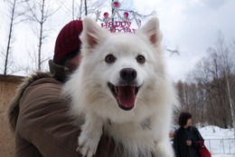 こ　ライル　４歳誕生記念