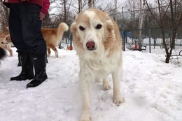 つ リック 昨3・22→2・17