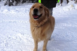 ま　ボス　２・３→２・９