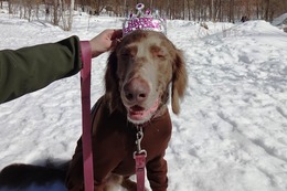 ま アラン 5歳になりました