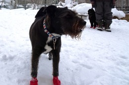 さ　こたろう　２・４→２・８