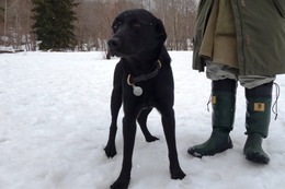 に　ブリンクリー　４・７→４・８