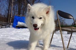 な 福 3・14→3・17