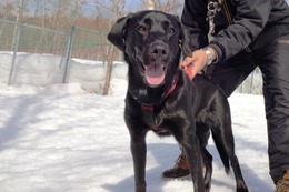 せ　ニコ　新６ヶ月