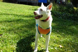 た ギンガ 9・17→10・1