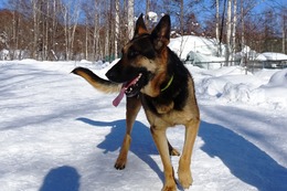 や ユエ 2・18→2・25