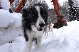 ひ ゆう 1・4→2・25