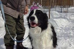 は ルイ 7歳になりました