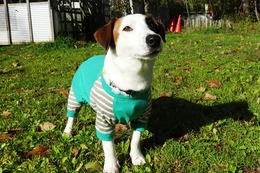 た ケンタ 10・1→10・2