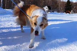 つ クレル 2・25→2・27