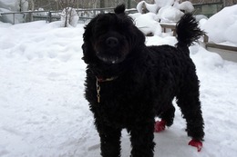 さ　しょう　２・４→２・８