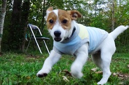 た　おとめ　９・２１→９・２９