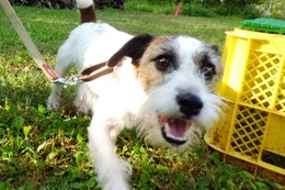 い 流 2014.9.14→2018.7.29