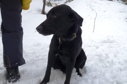 に　ブリンクリー