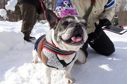 す だいず 5歳誕生記念