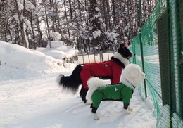 おでむかえ
