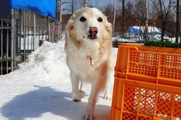 つ リック 3・14→3・17