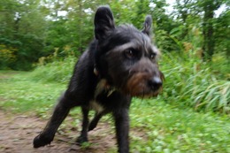 さ　こたろう　８・２７→８・３１