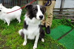 な そら 7.22→7.29