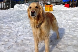 ま　小春　３・１８⇒３・３１