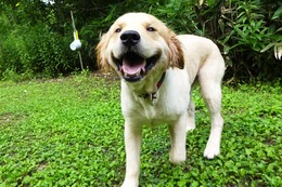 ま ボス 8・9→8・13