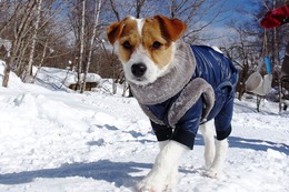 た　おとめ　２・２８→３・１