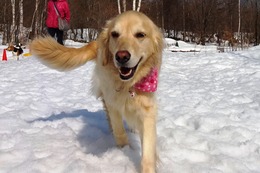 ま 小春 3・27→・3・31