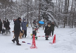 ディスクアールパパ