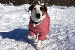 た ケンタ 2・18→2・17