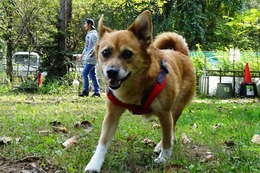 み とろ 9・17→10・1