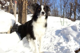 ひ ゆう 2・3→2・18