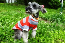 い　ジュジュ　新５ヶ月