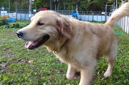 ま ボス 10・6→10・31