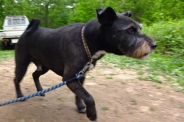 さ こたろう 4・28→5・31