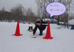 カーリング - コピー