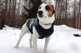 た ケンタ 3・21→3・22