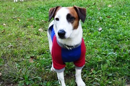 た　ケンタ　９・２１→９・２９