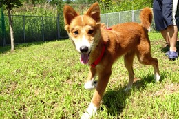 あ ラブ 新6か月