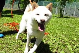 あ　福　新１歳