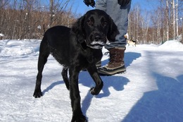 わ ロニー 新4ヶ月