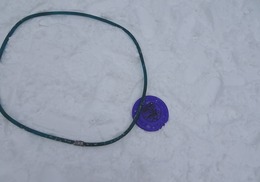 ディスクアールパパ２