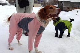 す　ジュリー　１・１５→３・１９