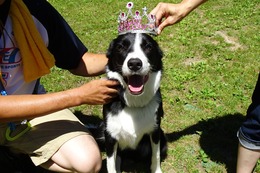 し　ルック（１歳になりましｔｑ）