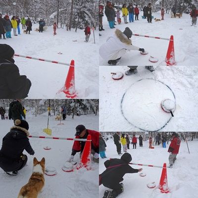 合体カーリング