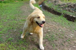 ま ボス 5・19→5・31