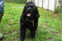 さ　しょう　８・２７→８・３１